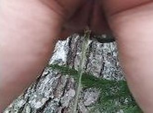 Nasty Wife Pissing In Woods With Buttplug