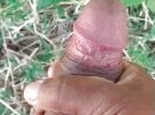 masturbation in the forest-lsantosofc