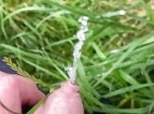 Close up piss of foreskin cock - making sure the grass is wet is important