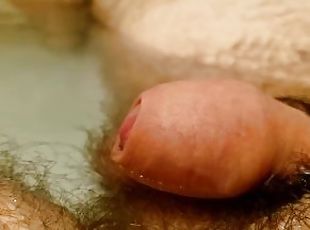 Close up of tiny dick pulsing while relaxing in water while tacking bath