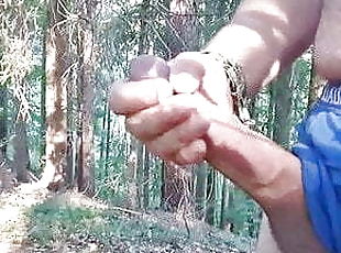 bear pissing in woods
