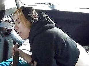 Sucking black cock in the back of car
