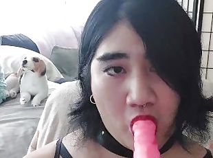 asiático, transsexual, amador, chupanços, brinquedo, garganta-funda, engolindo, webcam, engraçado, dildo